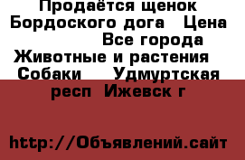Продаётся щенок Бордоского дога › Цена ­ 37 000 - Все города Животные и растения » Собаки   . Удмуртская респ.,Ижевск г.